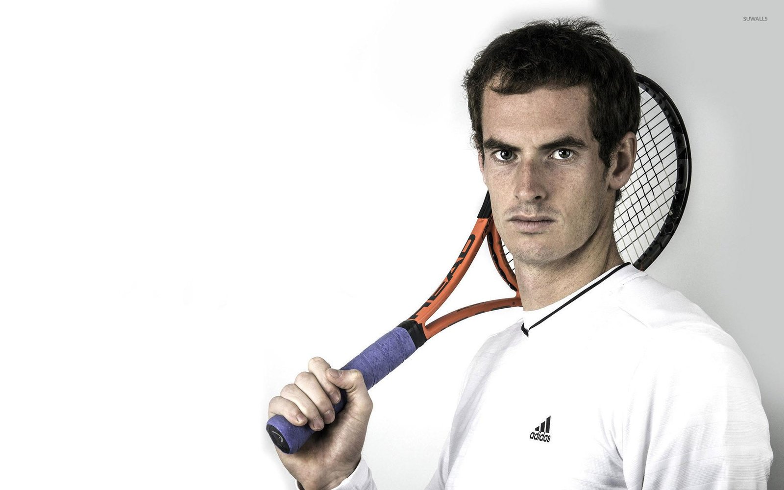 Andy Murray Net Worth