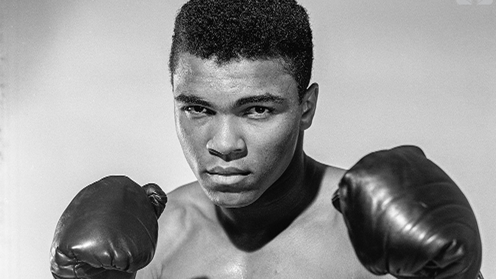 Muhammad Ali Net Worth